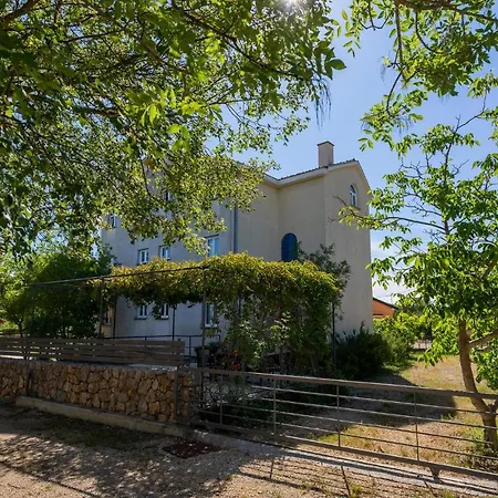 Front In * Pinezići