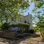 Front In * Pinezići